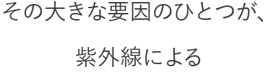 その大きな要因のひとつが、紫外線による