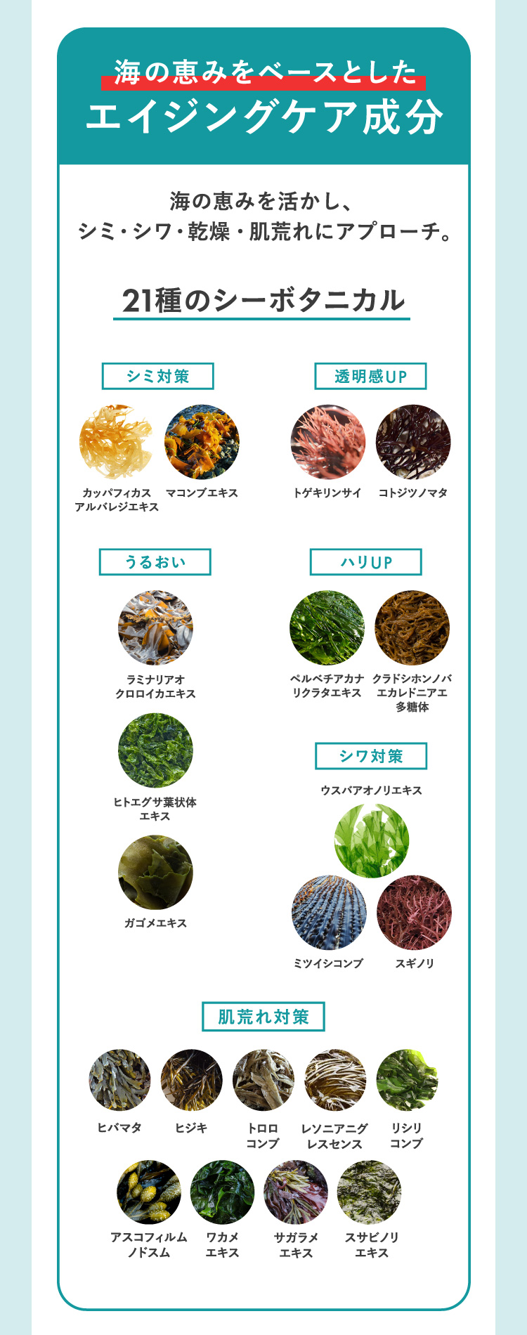 海の恵みをベースとしたエイジングケア成分